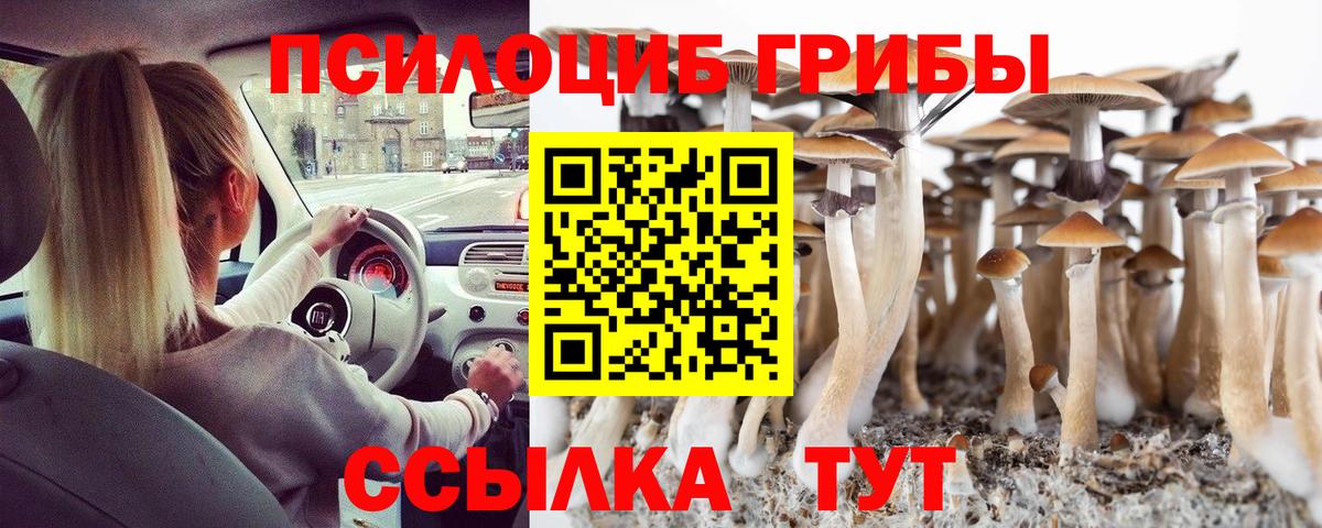 Псилоцибиновые грибы Psilocybe  Галлюциногенные грибы GOLDEN TEACHER  Вход с VPN  Хабаровск 